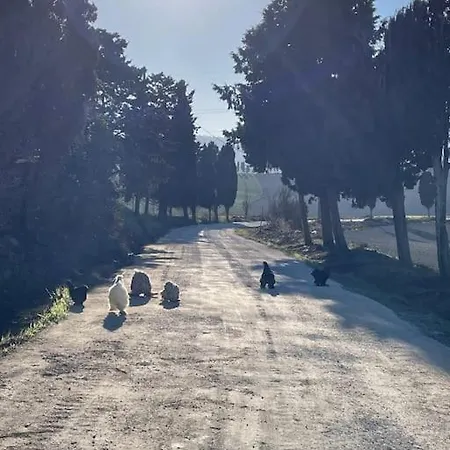 Daire Casale De L'ovo Tuscany Relax *