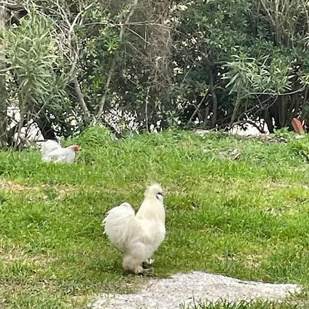 Daire Casale De L'ovo Tuscany Relax *